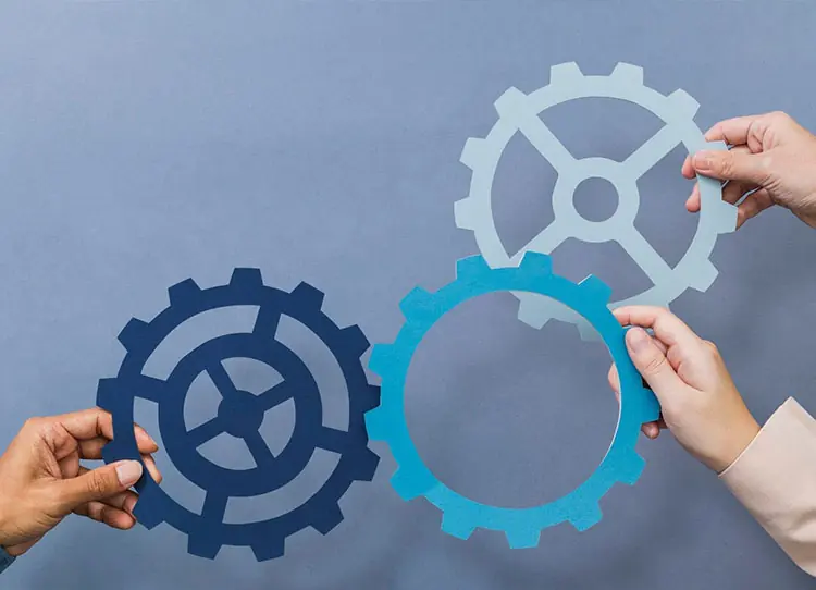 PetNourish Feature Case Study