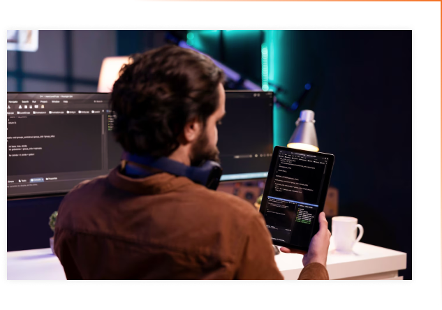 Software Security Testing Services