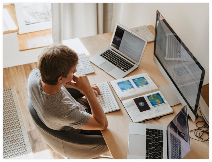 Web Portal Development