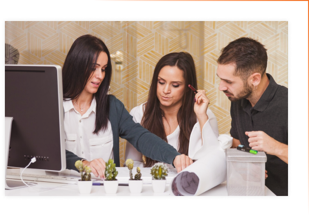 Bespoke Development Services