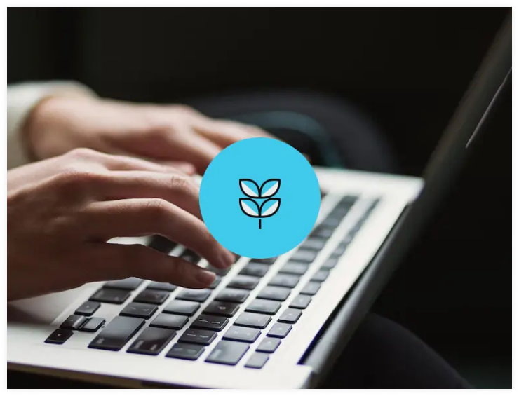 Cost-Effective Drupal Development