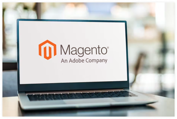 Magento ecommerce development services